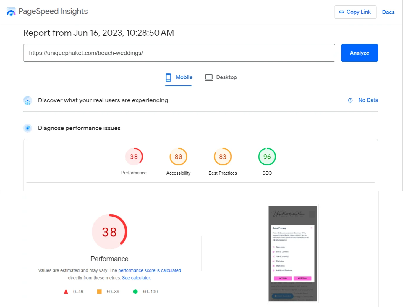 PageSpeed Insights Mobile report showing a performance score of 38.